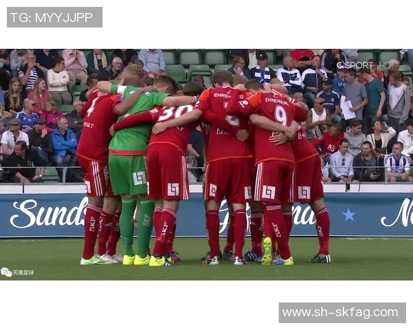 荷兰与瑞典历史交锋战绩回顾及分析