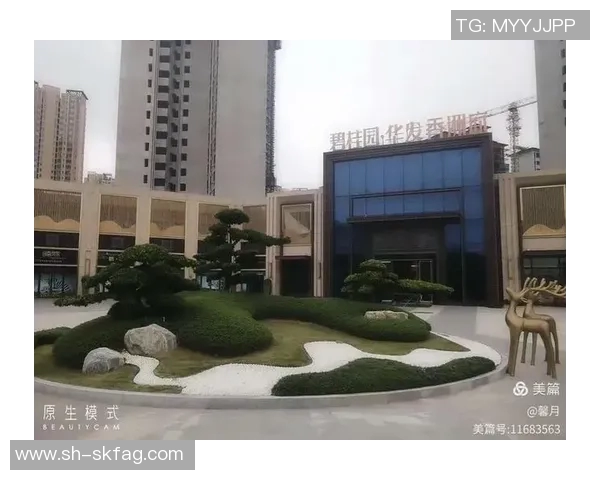 香洲区足球比赛精彩直播视频全程回放与精彩瞬间分享