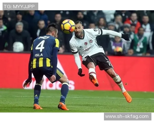 京多安的足球之路：从德甲明星到英超巨星的辉煌历程与成就