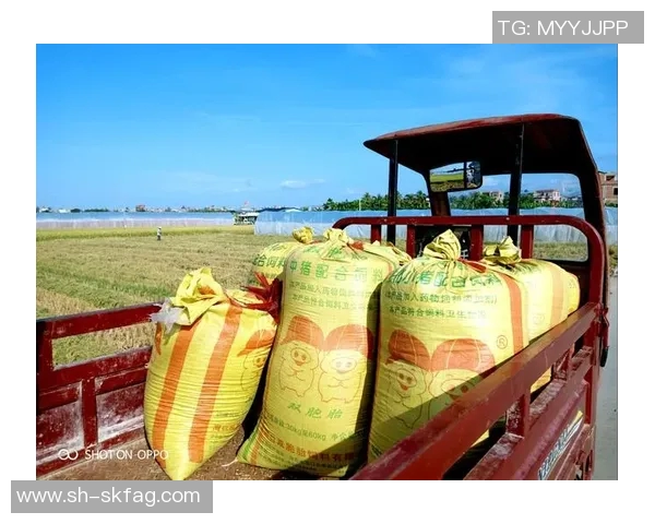 弗格的传奇人生与时代变迁的交织探讨