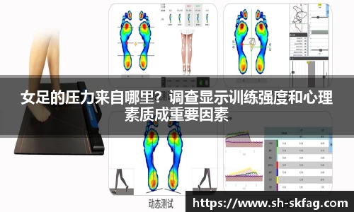 ky开元官网